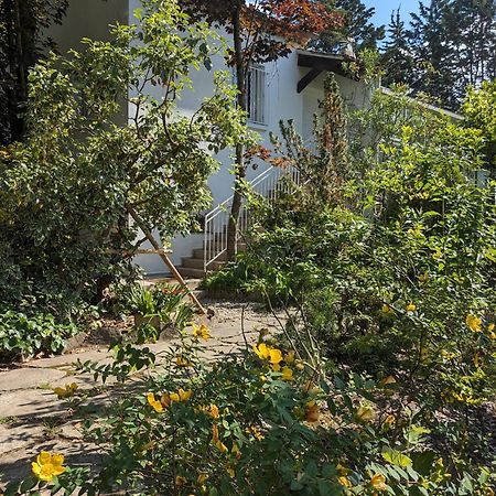 Maison Spacieuse Et Lumineuse 4 Personnes Lavilledieu  Εξωτερικό φωτογραφία