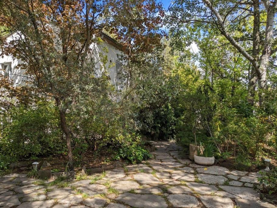 Maison Spacieuse Et Lumineuse 4 Personnes Lavilledieu  Εξωτερικό φωτογραφία