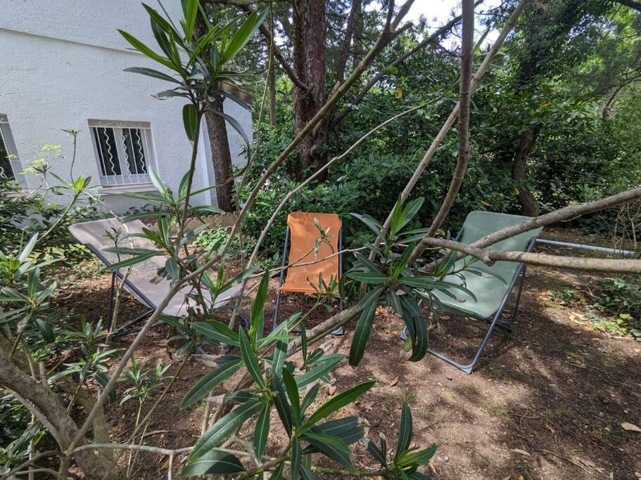 Maison Spacieuse Et Lumineuse 4 Personnes Lavilledieu  Εξωτερικό φωτογραφία